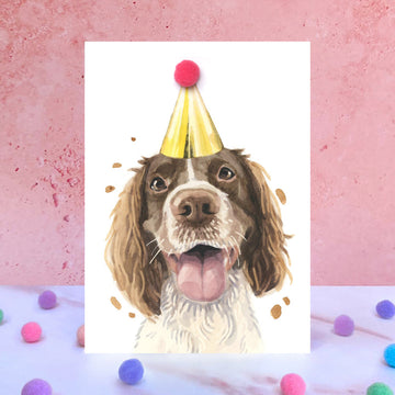 Springer Spaniel Pompom Birthday Celebration Collection Card