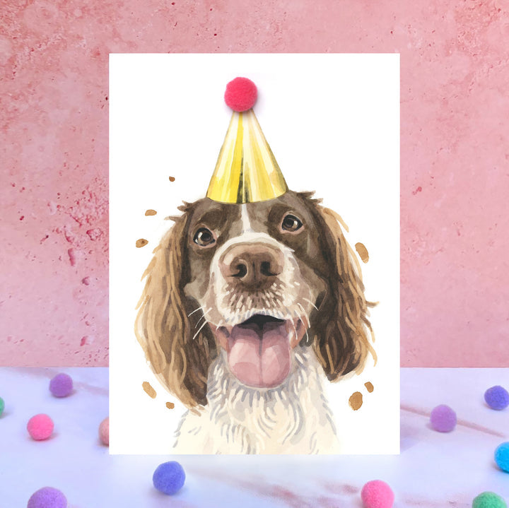 Springer Spaniel Pompom Birthday Celebration Collection Card