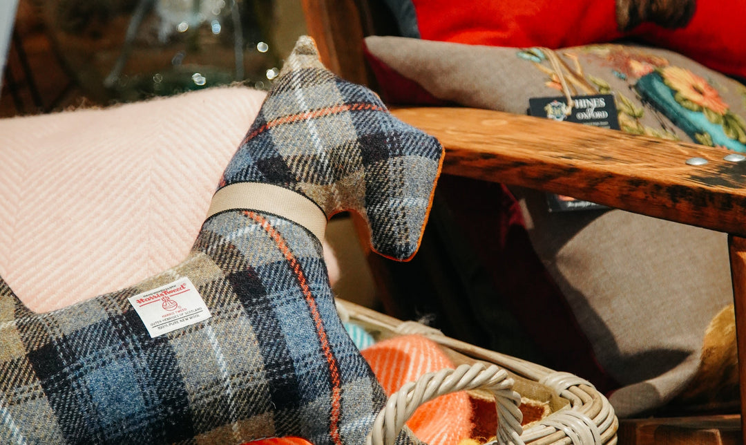 Burn's Night with Bonk & Co