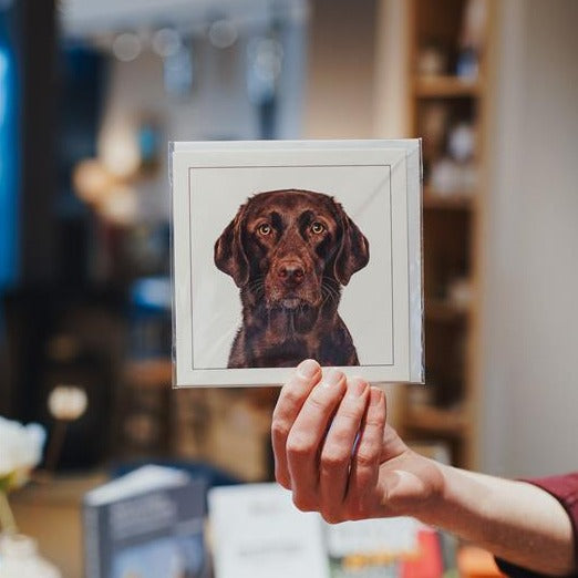 Labrador - Dog Greeting Card