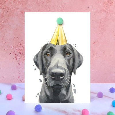 Black Labrador Pompom Birthday Celebration Collection Card