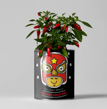 Red Hot Chilli Pot. Grow Your Own Plant Kit, Gardening Gift