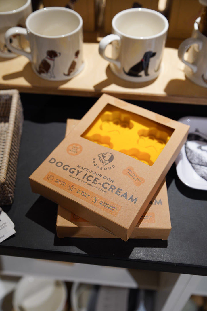 Doggy Ice Cream Kit