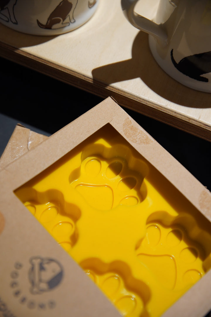 Doggy Ice Cream Kit