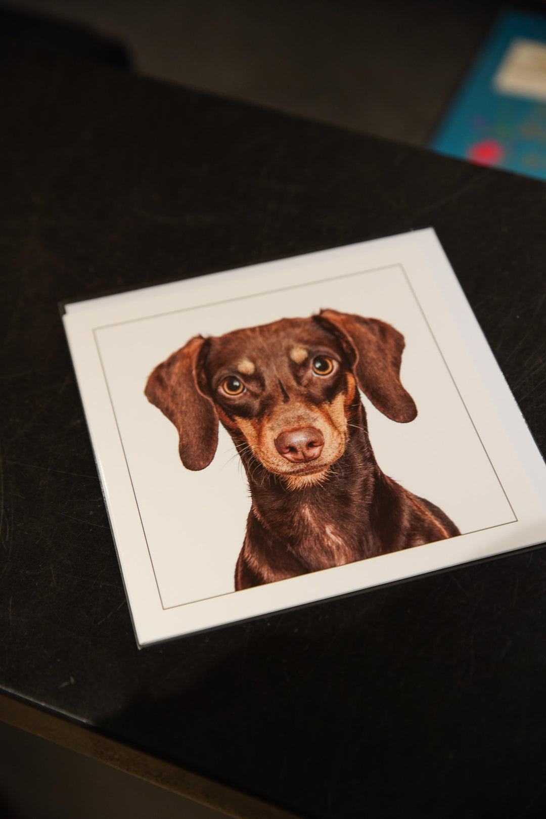 Dachshund - Dog Greeting Card