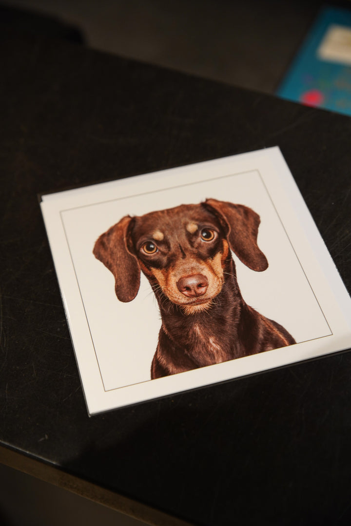 Dachshund - Dog Greeting Card