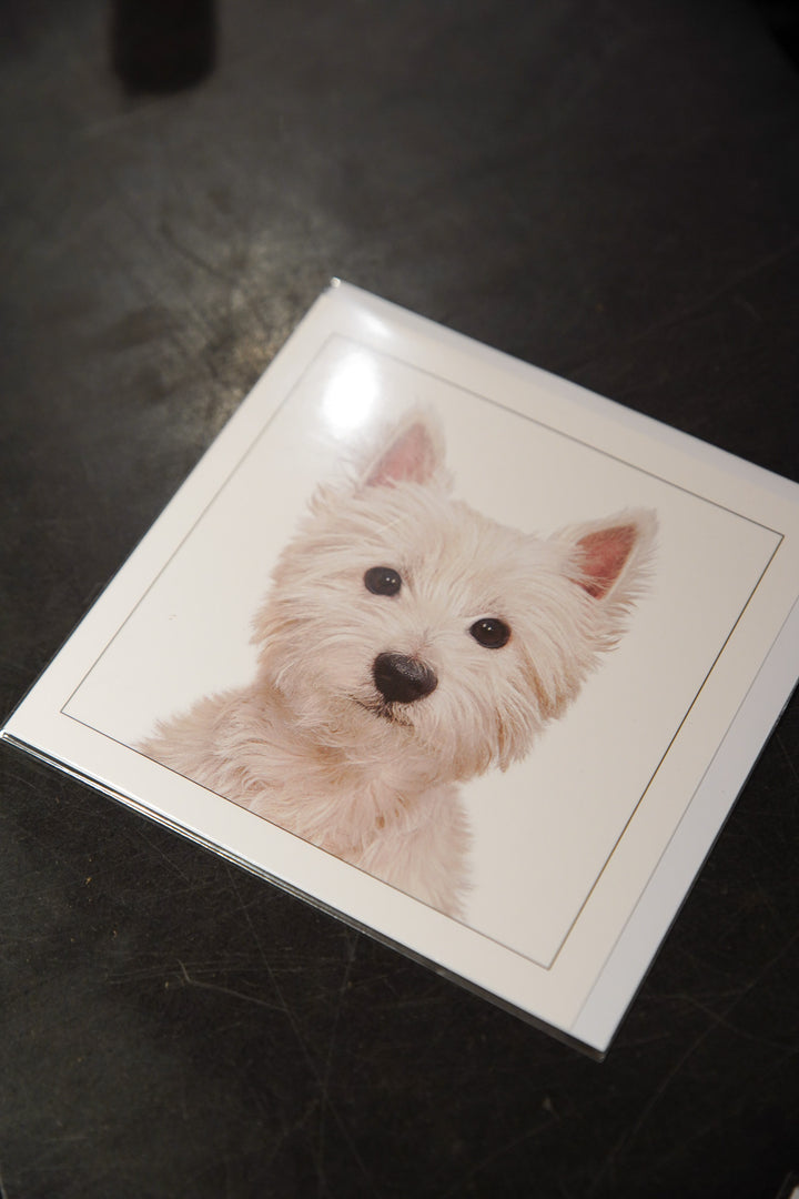 West Highland Terrier - Dog Greeting Card