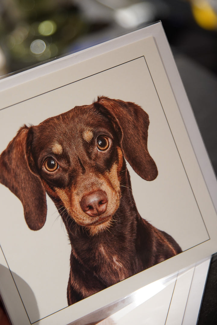 Dachshund - Dog Greeting Card