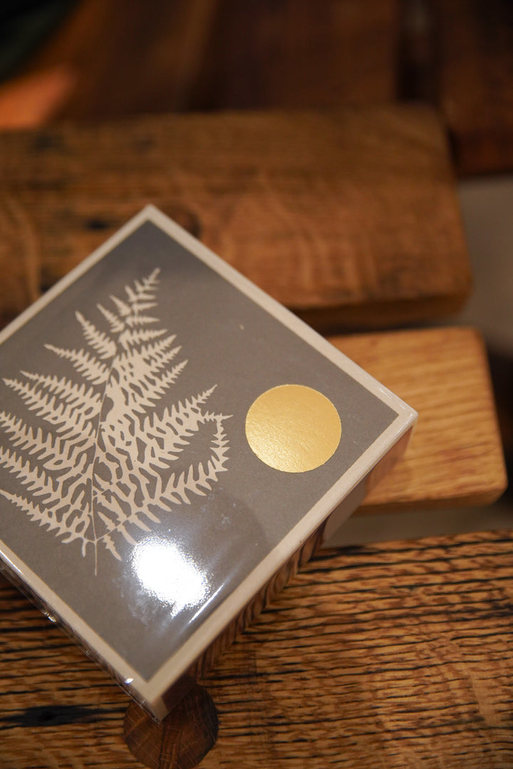 Fern Matches
