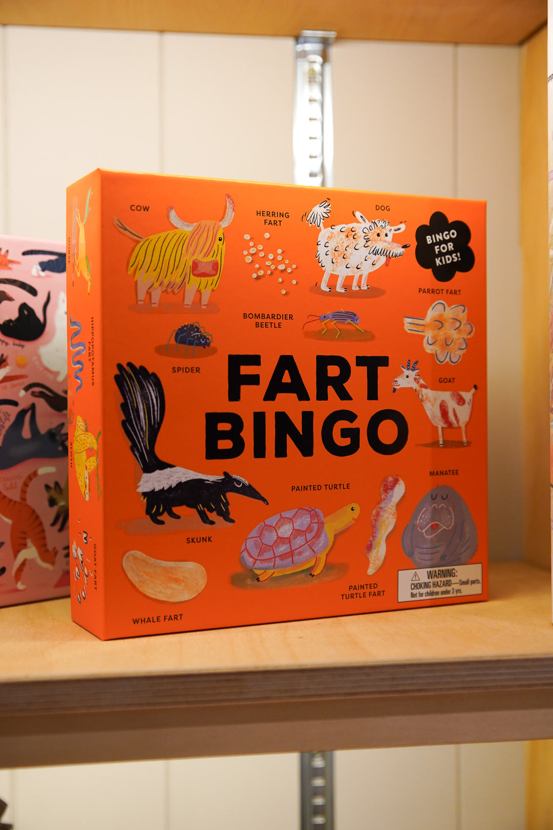 Fart Bingo For Kids