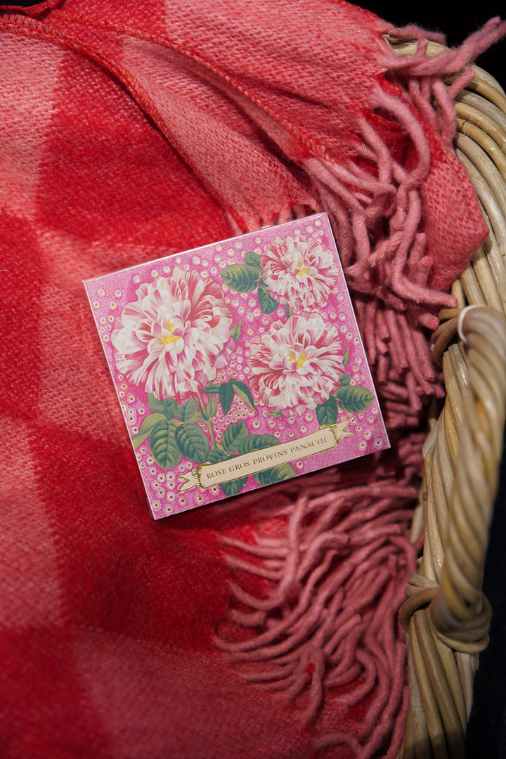 Rose Provin Petunia - Matchboxes