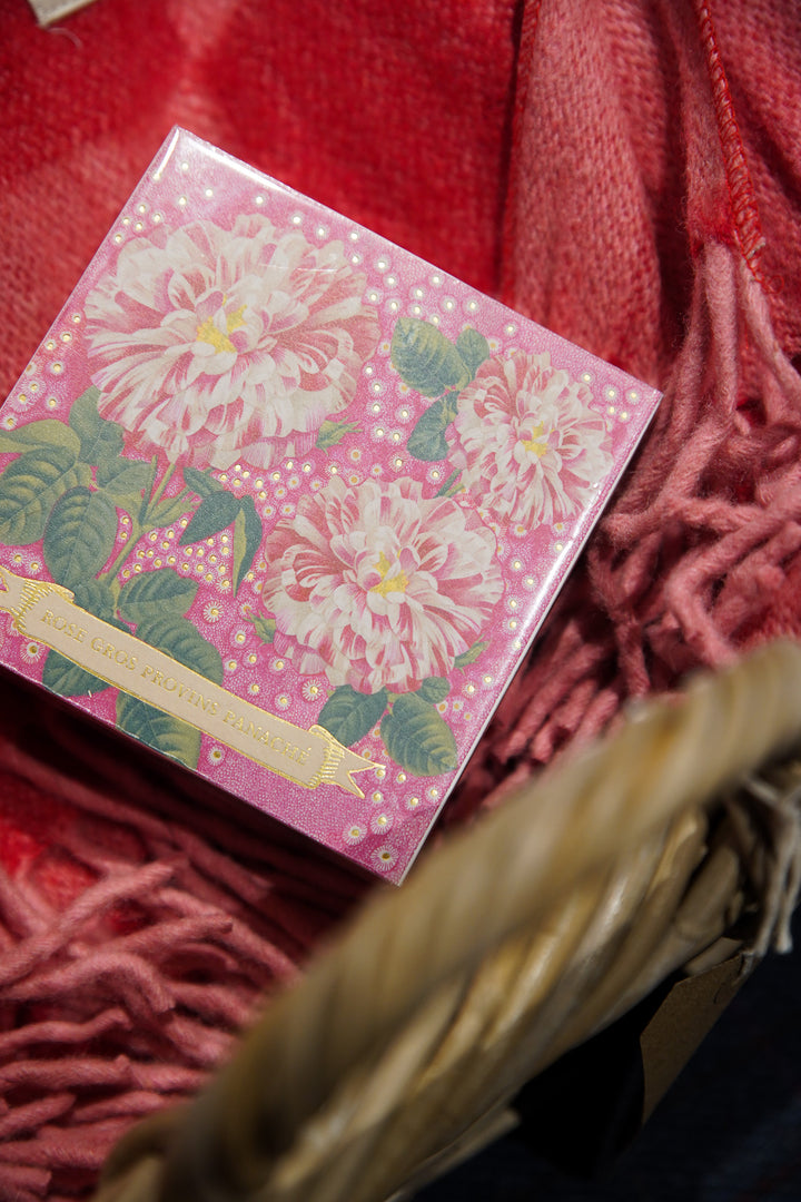 Rose Provin Petunia - Matchboxes