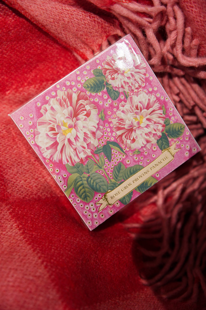 Rose Provin Petunia - Matchboxes