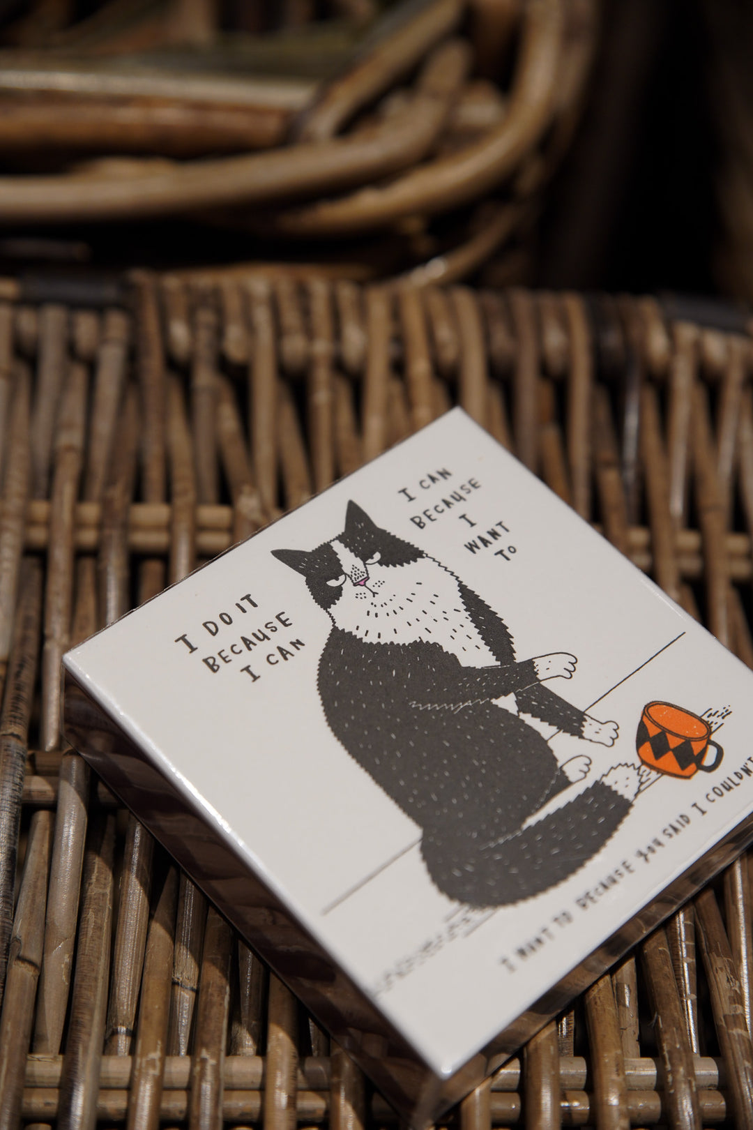 I Do It Because I Can - Square Matchboxes