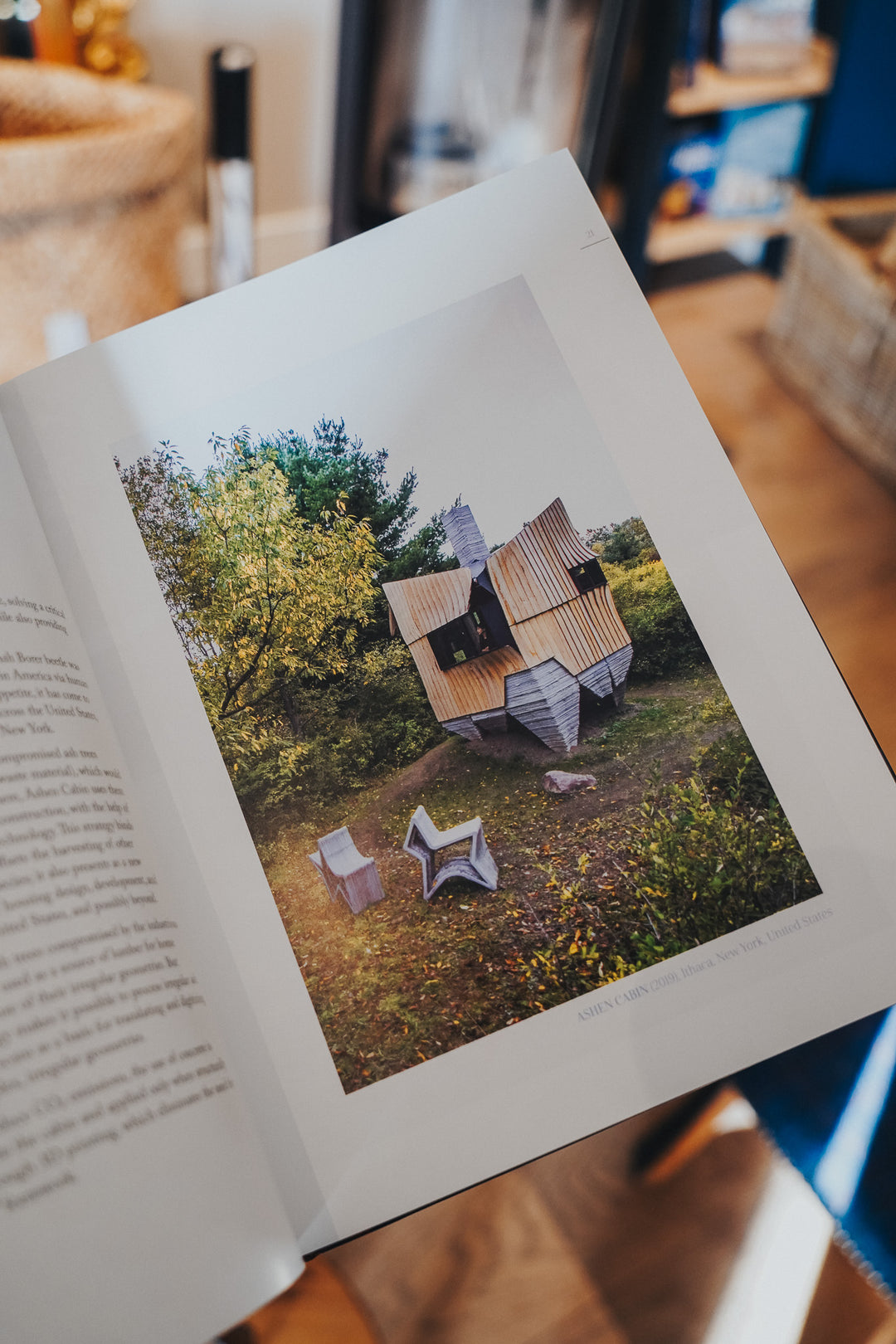 Wild Guide Scotland (2nd Edition)