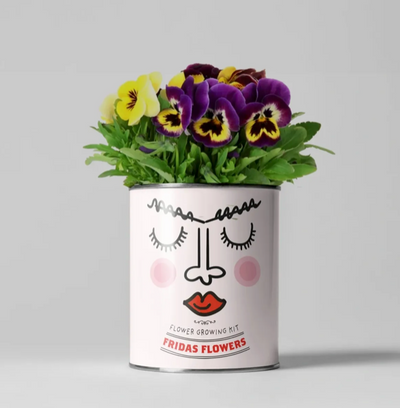 Frida's Flowers. Eco Grow Your Own Plant, Gardening Kit.