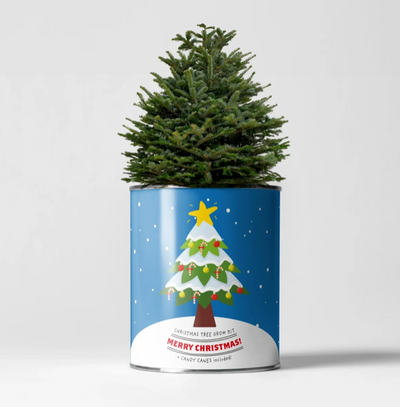 Merry Christmas, Grow Your Own Xmas Tree, plus Candy Canes