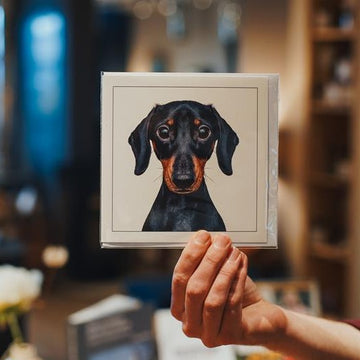 Mini Dachshund - Dog Greeting Card
