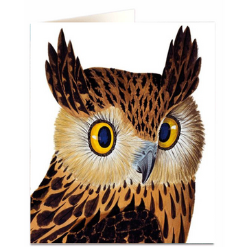 Tawny Fish Owl Card