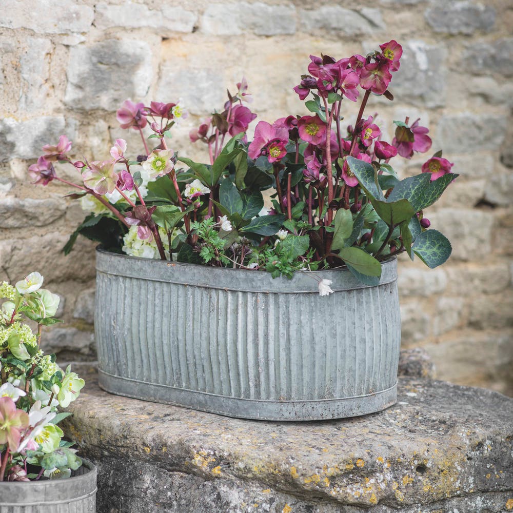 Large Vence Oval Trough