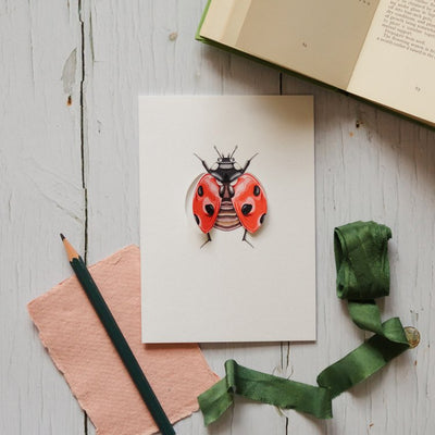 Ladybird Pop Out Butterfly Watercolour Greetings Card
