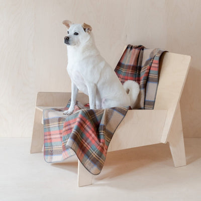 Recycled Wool Large Pet Blanket in Stewart Dress Antique Tartan