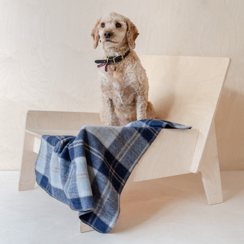 Recycled Wool Small Pet Blanket in Bannockbane Silver Tartan